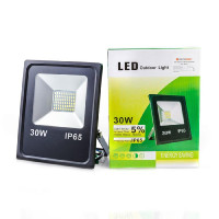 Прожектор світлодіодний ES-30-01 BASIC 1650Лм 6400K SMD