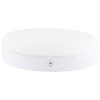 Світильник точковий накладний Євросвітло 24Вт коло LED-SR-170-24 6400К без рамки