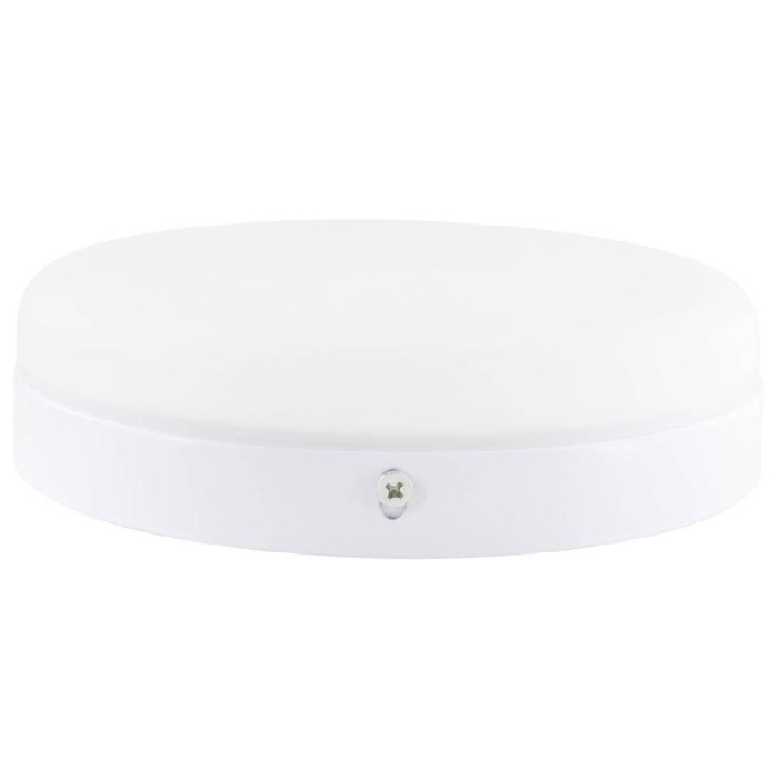 Світильник точковий накладний Євросвітло 24Вт коло LED-SR-170-24 6400К без рамки