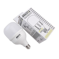 Лампа світлодіодна LED Bulb-T100-30W-E27-220V-4000K-3150L GOLDEN TNSy