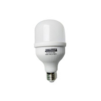 Лампа світлодіодна LED Bulb-T80-20W-E27-220V-6500K-2100L GOLDEN TNSy